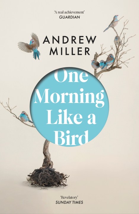 One Morning Like a Bird